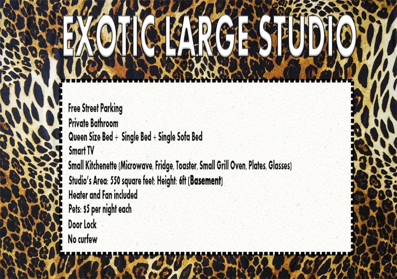 Hotel Exotic Large Basement Studio Montreal Zewnętrze zdjęcie